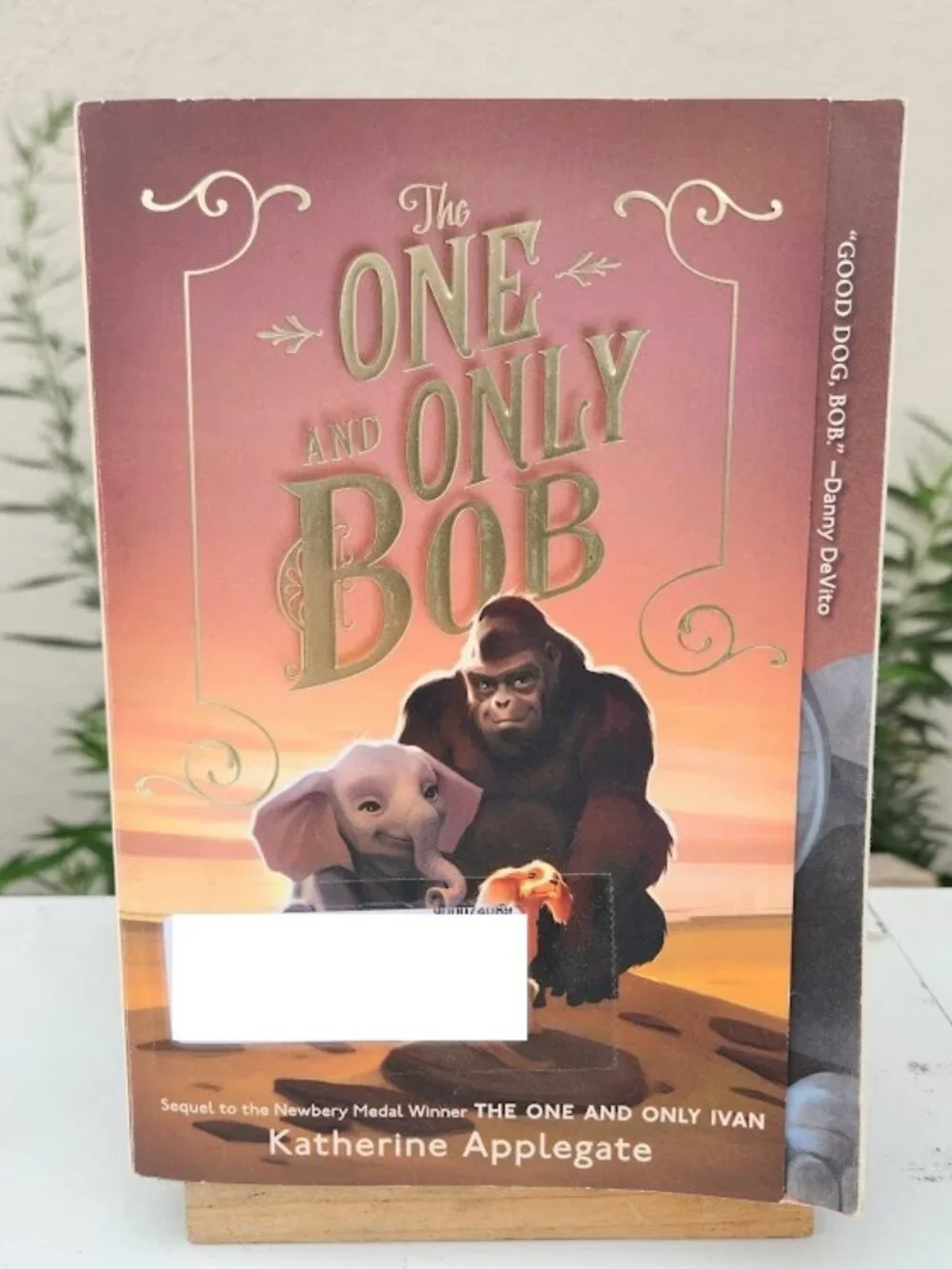 The One and Only Bob Katherine Applegate Paperback Book Young Adult Reading Mate